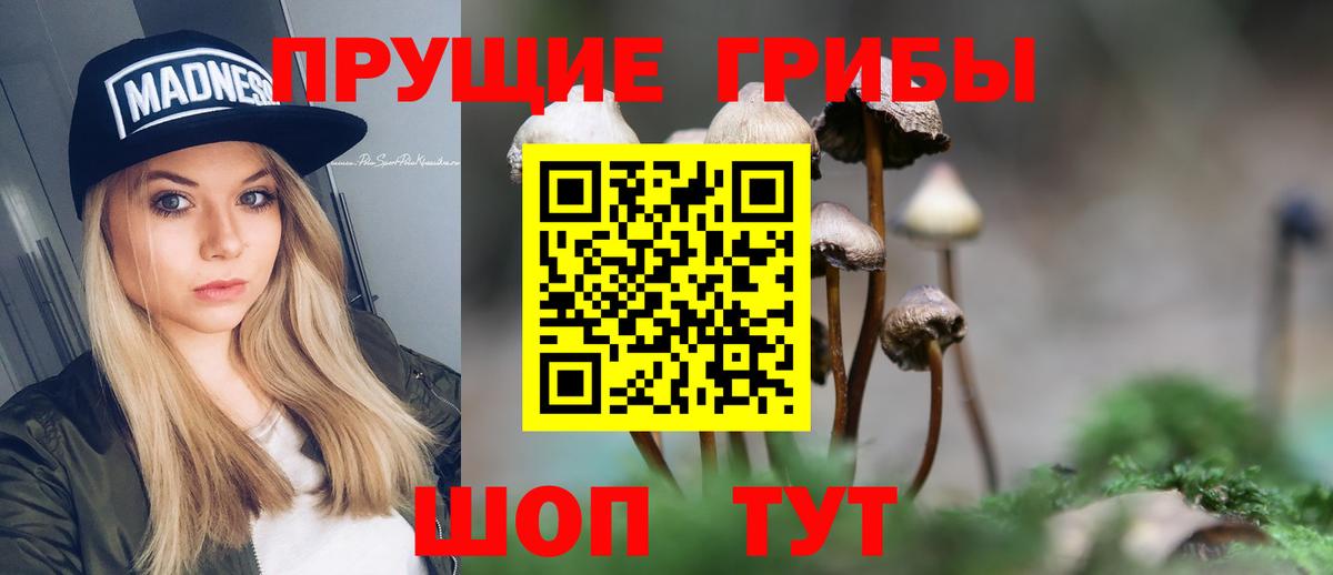 Галлюциногенные грибы MAGIC MUSHROOMS  Галлюциногенные грибы Psilocybine cubensis  Вход с VPN  Елабуга 